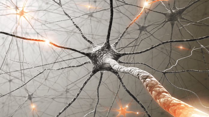 biohacking brain neurons